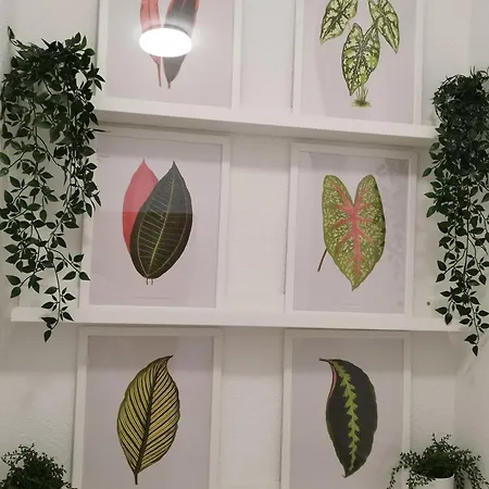 Jardin Del Mar Апартаменты