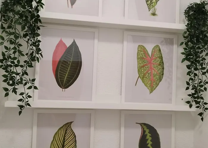 Jardin Del Mar Lägenhet